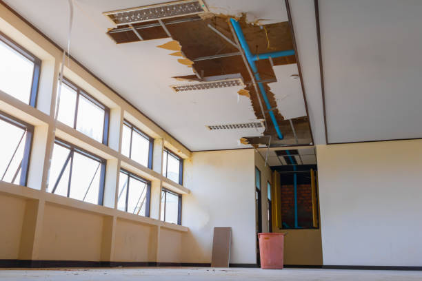 Best Professional water damage repair  in Orleans, IN