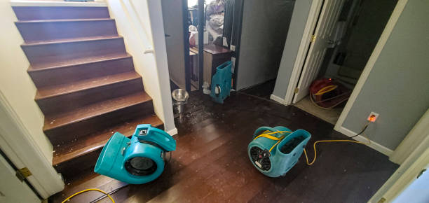 Best 24/7 water damage repair  in Orleans, IN