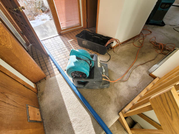 Best Flood restoration services  in Orleans, IN