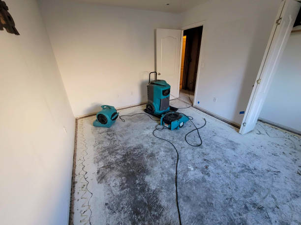 Professional Water damage restoration in Orleans, IN