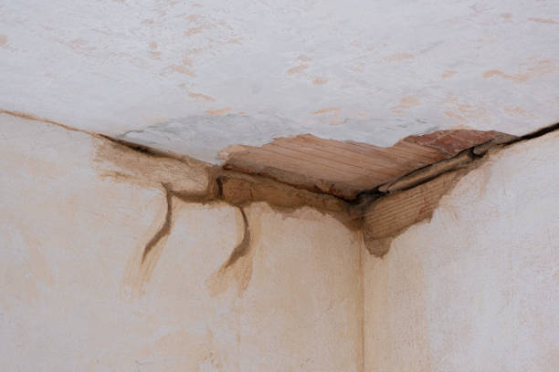 Best Water damage restoration insurance claims  in Orleans, IN