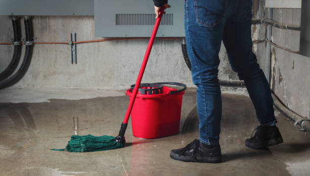 Best Residential water damage restoration  in Orleans, IN