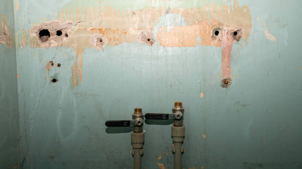Best Commercial water damage restoration  in Orleans, IN