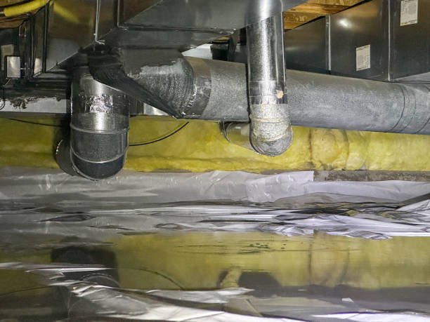Best 24-hour water damage restoration  in Orleans, IN