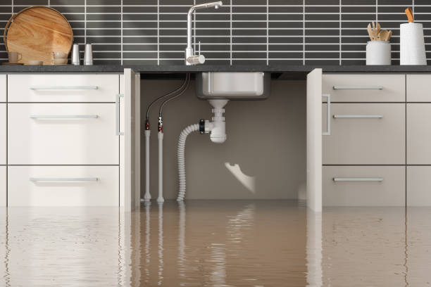 Best Residential water damage restoration  in Orleans, IN