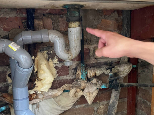 Best 24/7 water damage repair  in Orleans, IN
