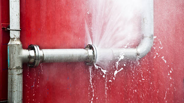 Best Residential water damage restoration  in Orleans, IN