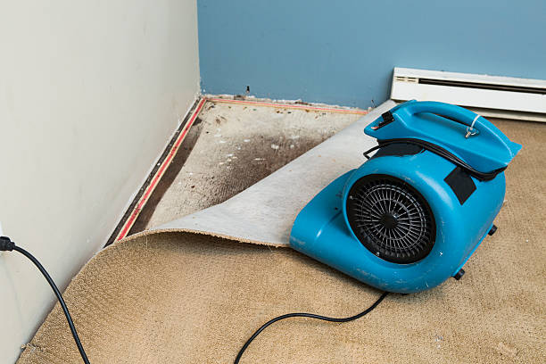 Best Carpet water damage restoration  in Orleans, IN